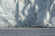 Nourriture glaciaire - Marie-Hélène GAUDIBERT